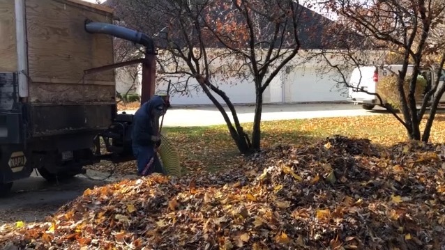 fall leaf pickup