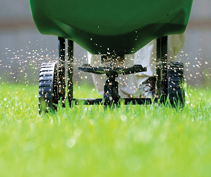 seed spreader on green lawn photo