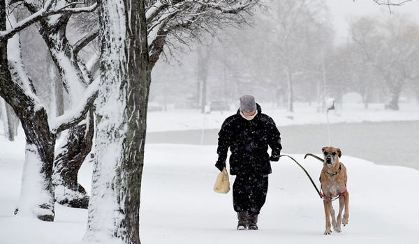 man walking dog in snow